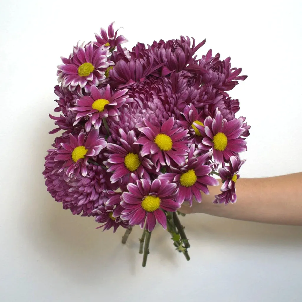 Berry Bombastic Wedding Flower Pack