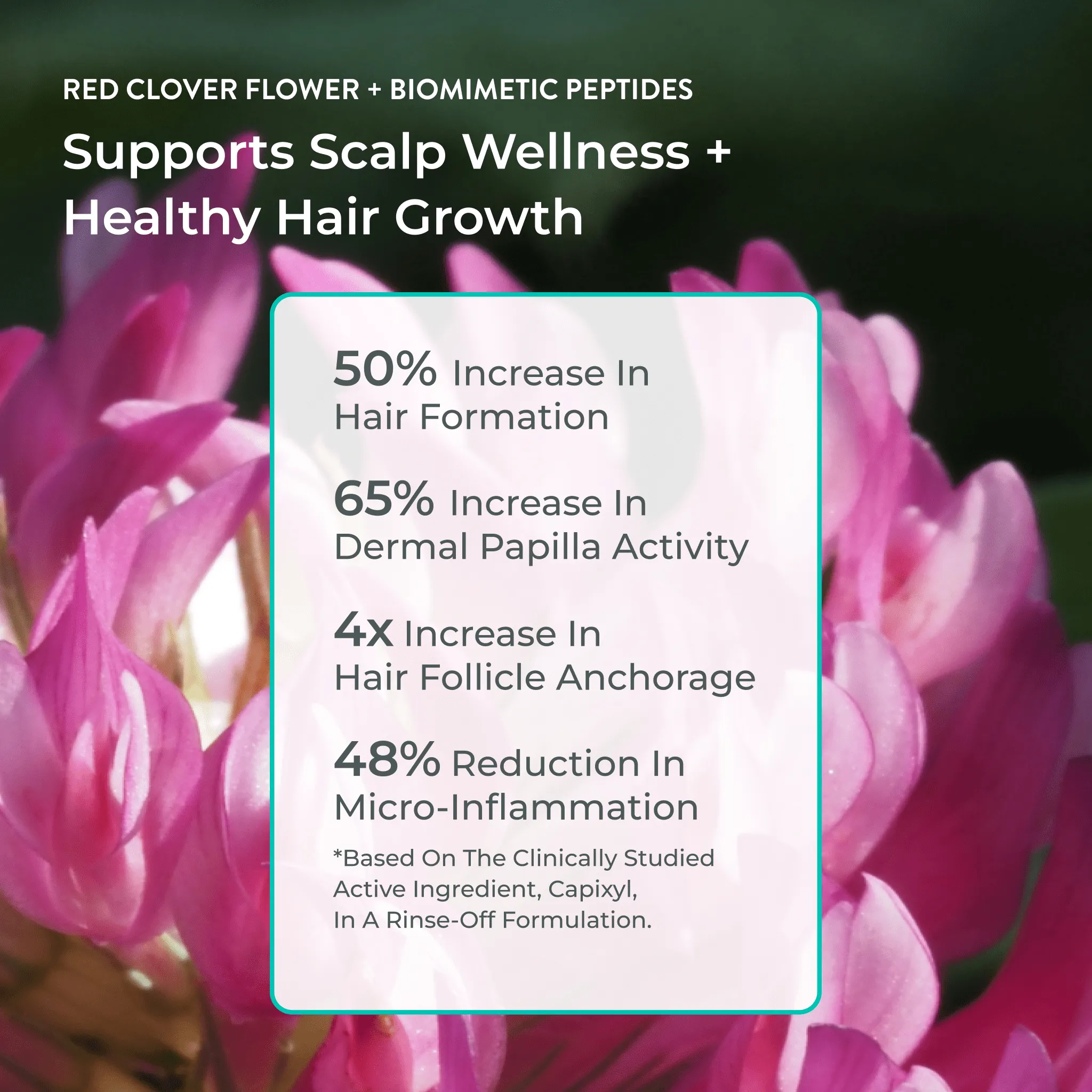 Better Roots RootBoost Serum Value-Pack