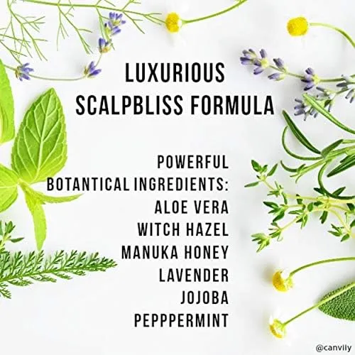 Canviiy ScalpBliss Itch-Calming Serum, Long-Lasting Soothing Scalp Moisturizer for Dry itchy Scalp, Enriched with Aloe Vera, Witch Hazel, Manuka Honey and Peppermint Oil (Natural Based)