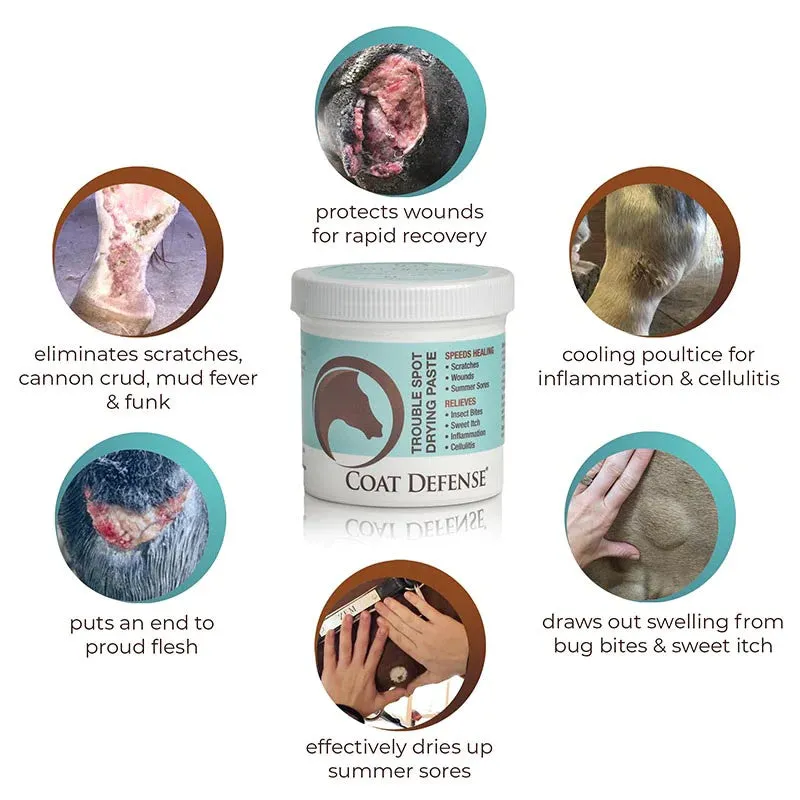 Coat Defense Trouble Spot Drying Paste