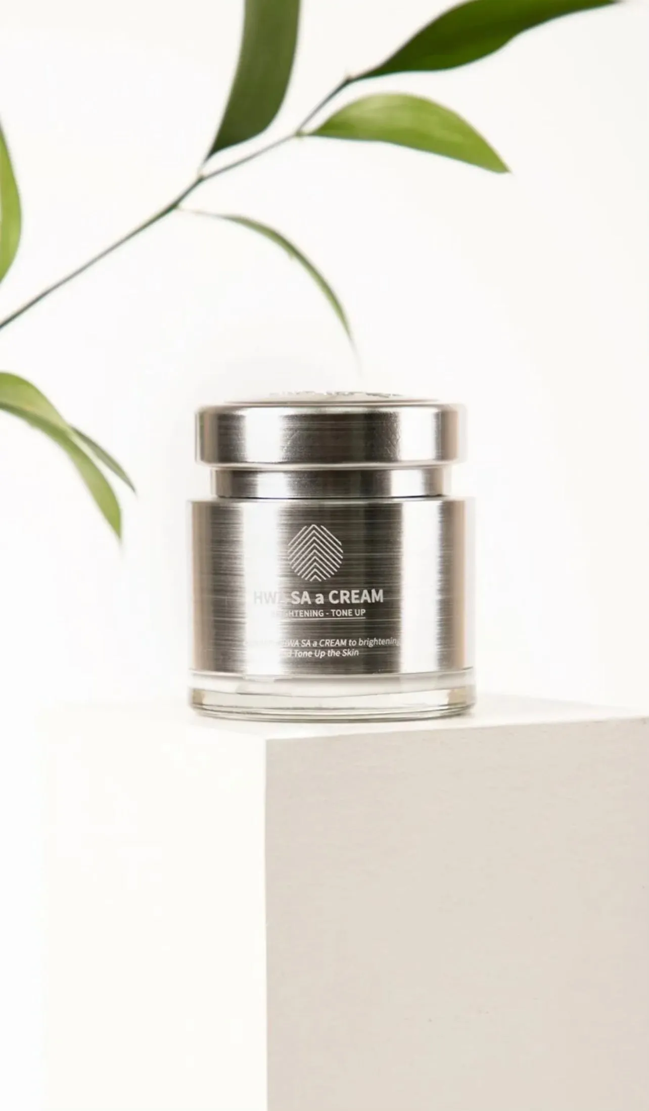 Cre8skin Brightening Hwasa Moisturizer
