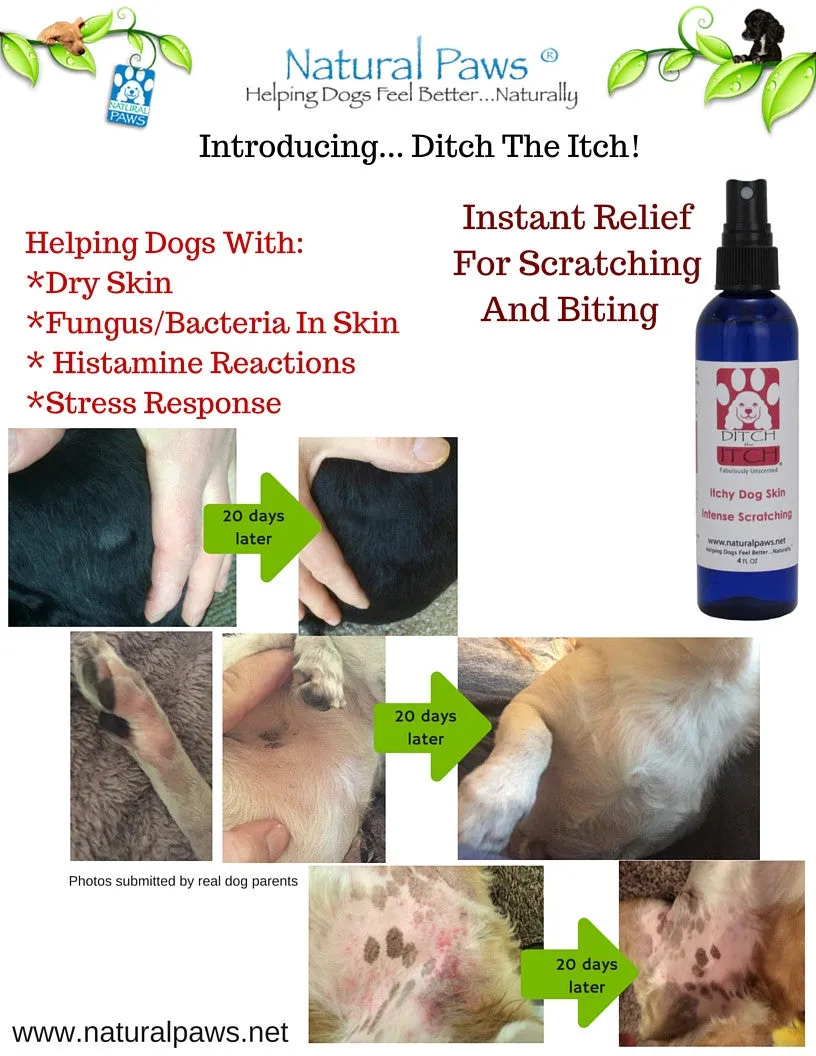 Ditch the Itch Anti-Itch Spray