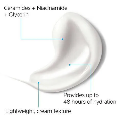 la roche poasy - TOLERIANE DOUBLE REPAIR FACE MOISTURIZER - 100ml
