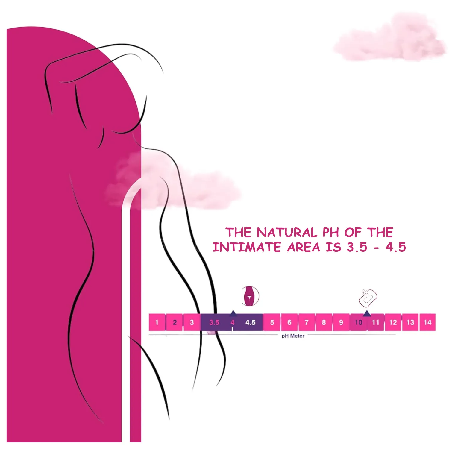 N&F PINK BLOSSOM (Feminine Wash) - Vaginal Wash - Your Daily Essential 150ML