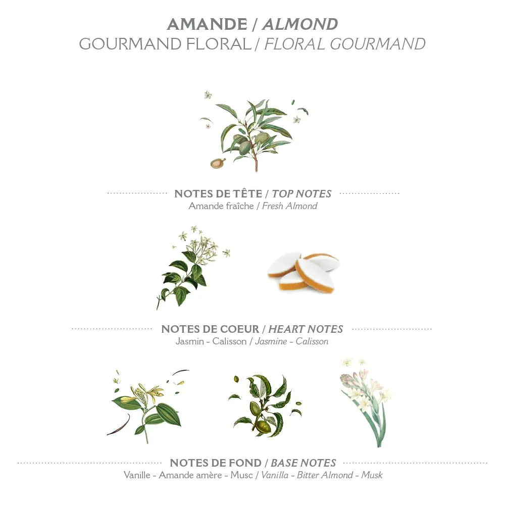 Organic Soothing Almond Pretty Hands Set {clearance}