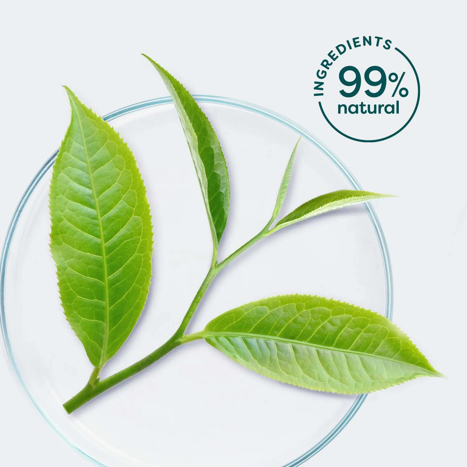 Rawganic Pure Cleansing Facial Wipes with green tea and aloe vera
