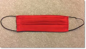 Red and Black Pleated Reversible Face Mask