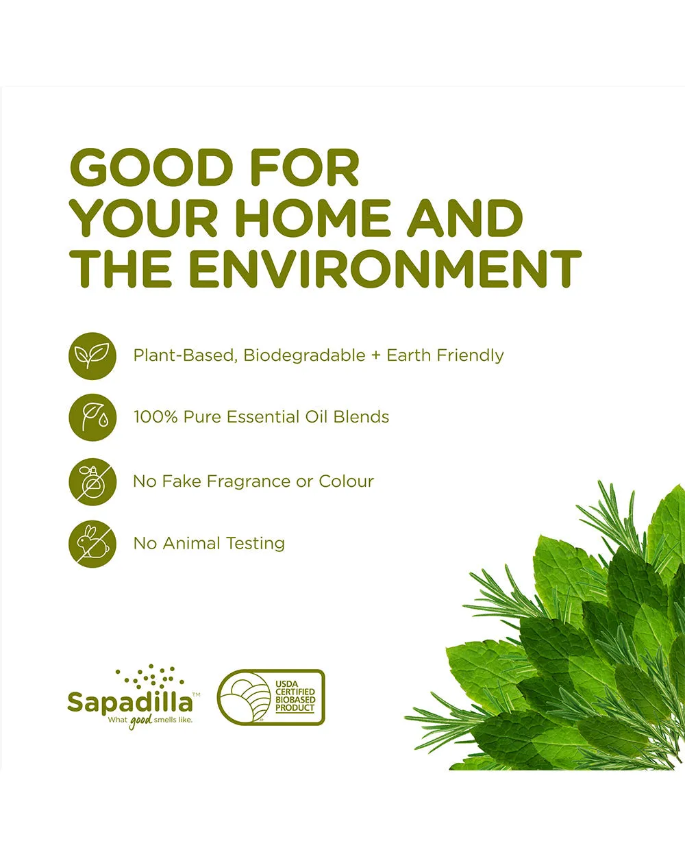 Sapadilla 25oz All Purpose Cleaner Rosemary   Peppermint