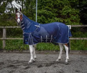 WHITAKER FLY RUG PHILLIP NAVY