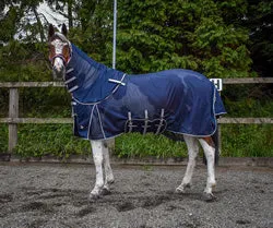 WHITAKER FLY RUG PHILLIP NAVY